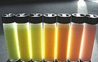 3D-Alkyne fluorescent microparticles